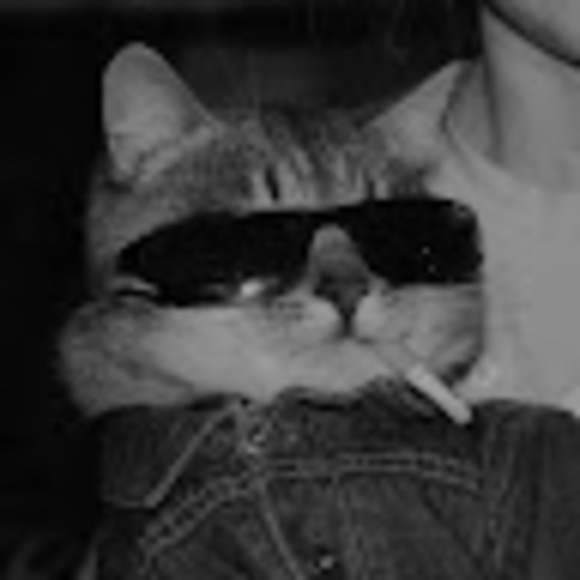 Meet your Posher, Kara - Picture 1 of 1